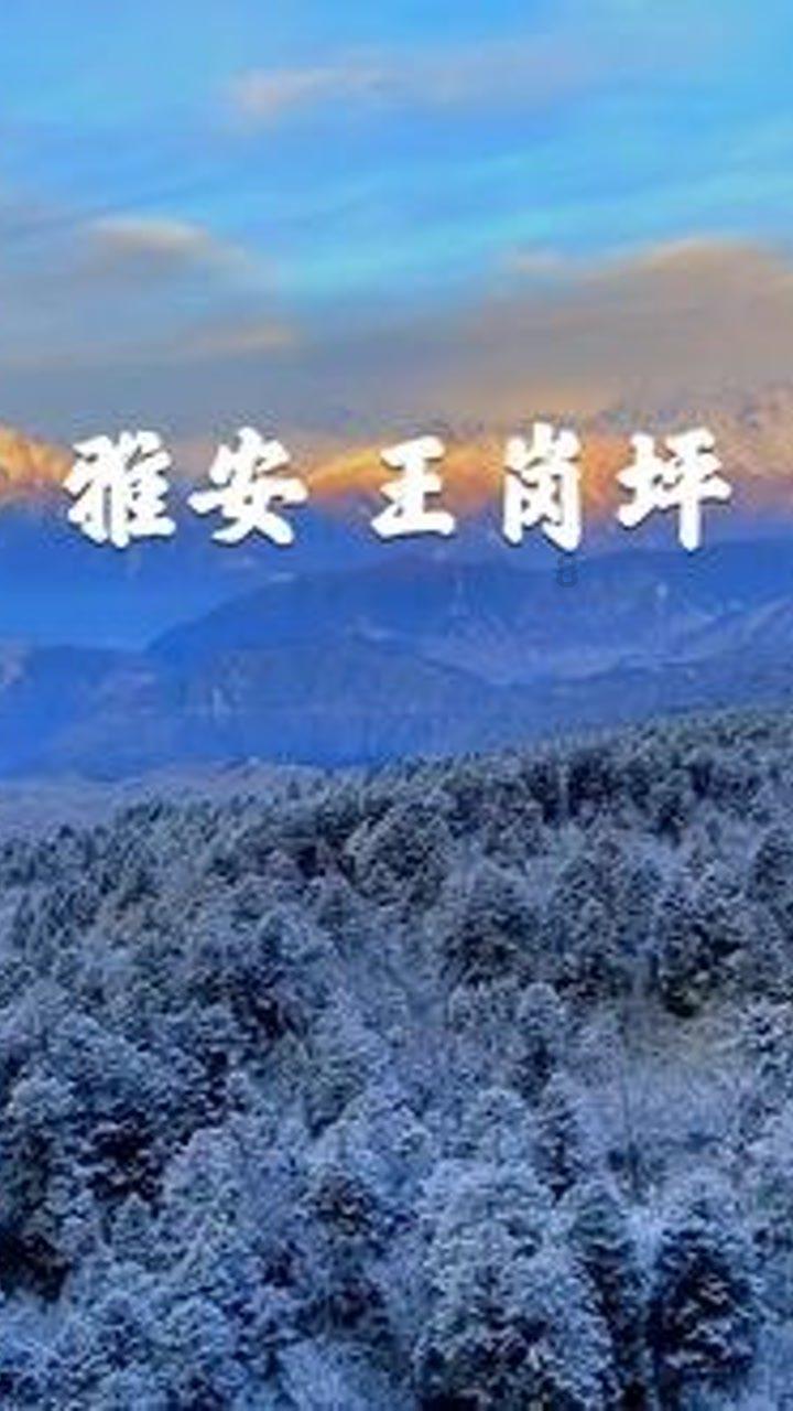 逃离快乐小镇
