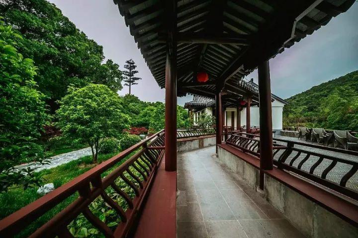 拯救巧虎4