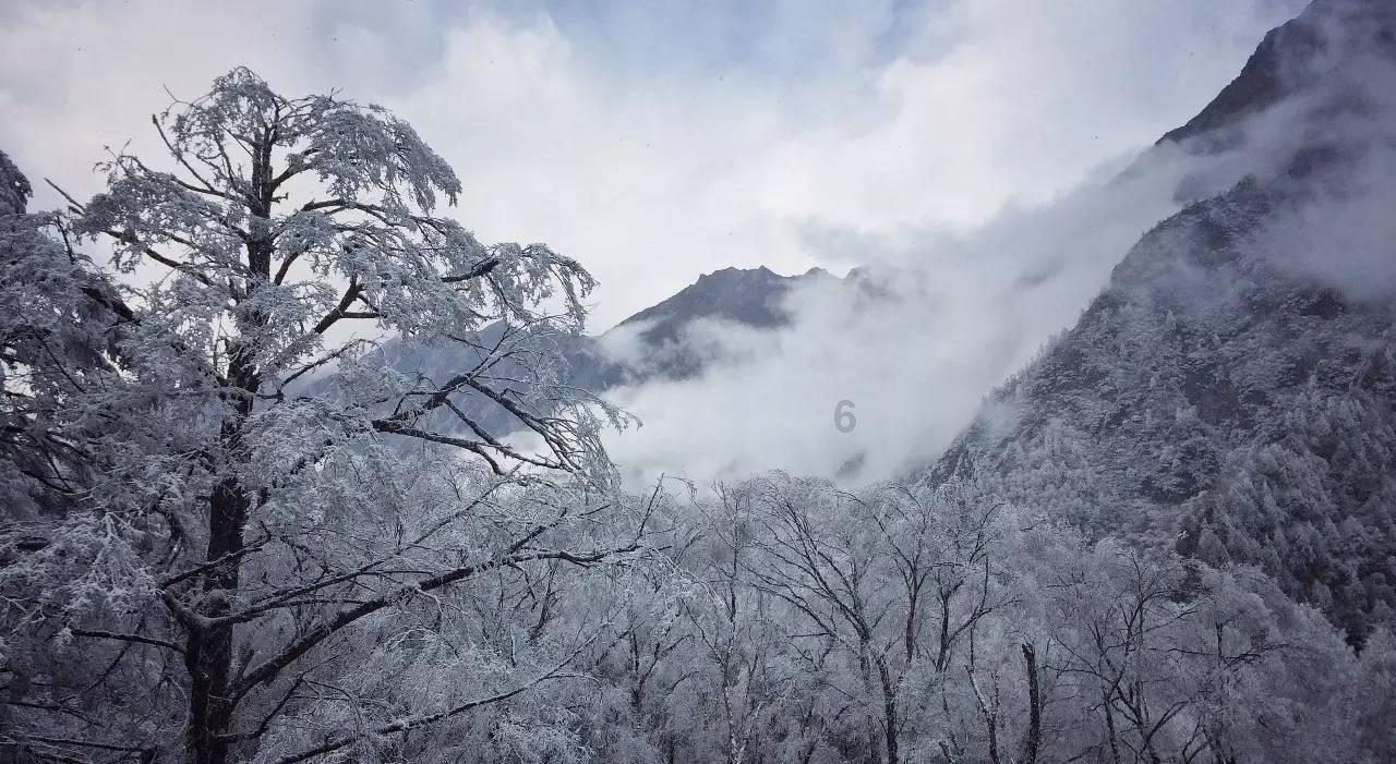 引球进框