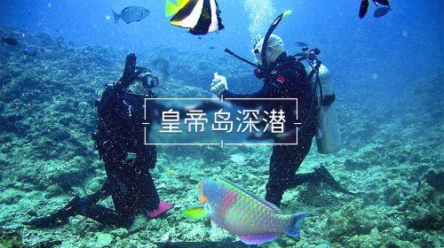 拒收现金39家违法主体被罚
