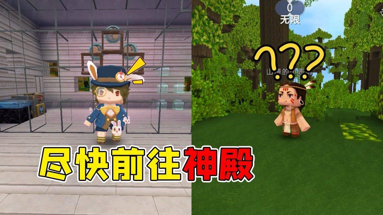 猫猫冒险团