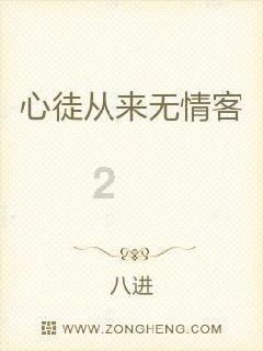 三国之志2
