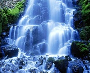 逃离水虎鱼湖