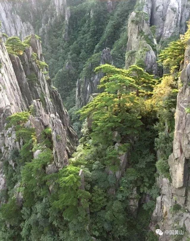 侏罗纪时代逃生
