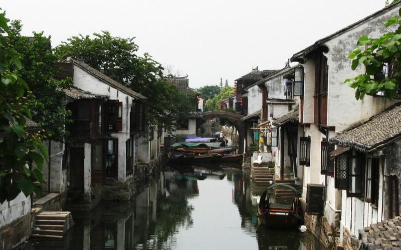 鸡蛋哪头先出来？游戏画面