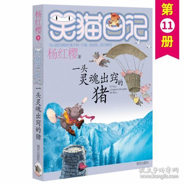 沙漠赛道驾驶