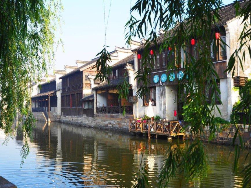 植物大战僵尸1